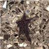 Order  Button - Black Fun Star